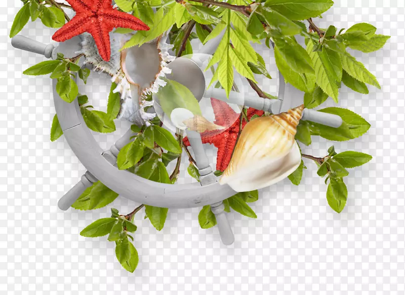 �״�������.Ҷ�κ��ݺ��Ƕ�-������