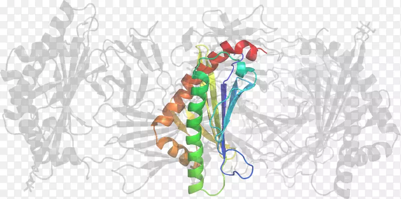 ƽ������л������-������