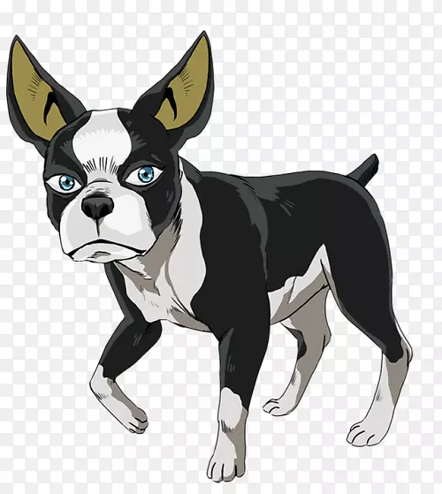 ��ʿ����Ȯ��ֳ����������(��)����-��ʿ����Ȯ-������