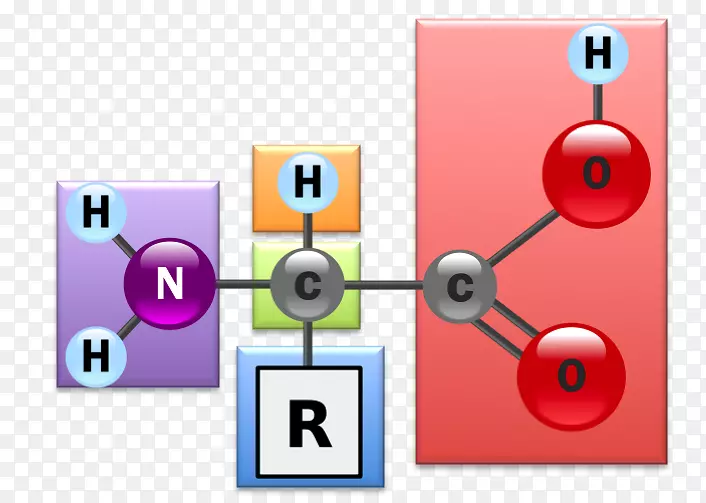 �����ᡢ�����ʡ��ļ�����ѧ������-������