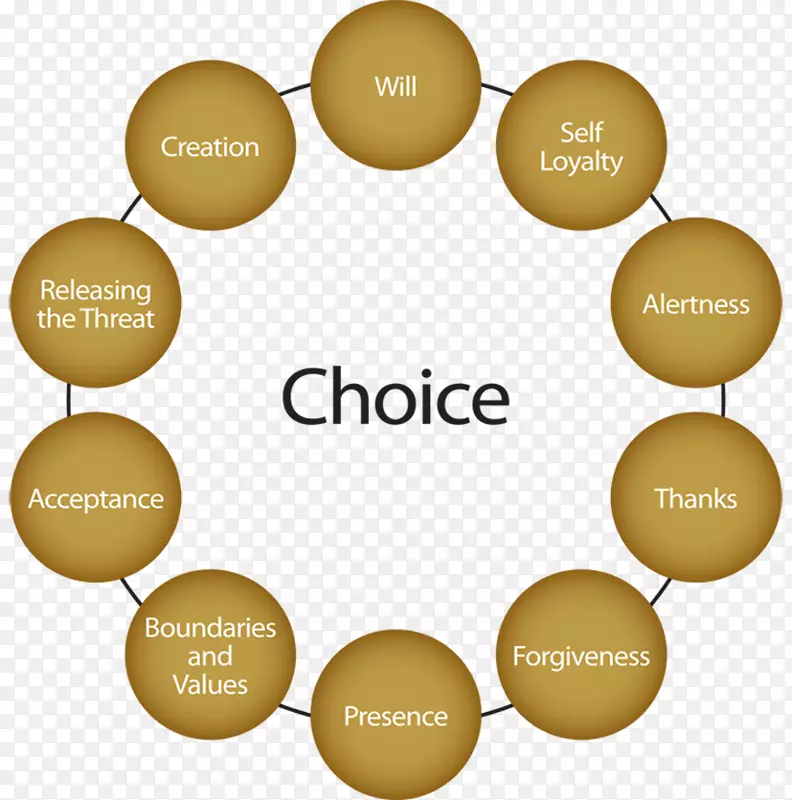 ������ƹ���������Ʒ���������-������