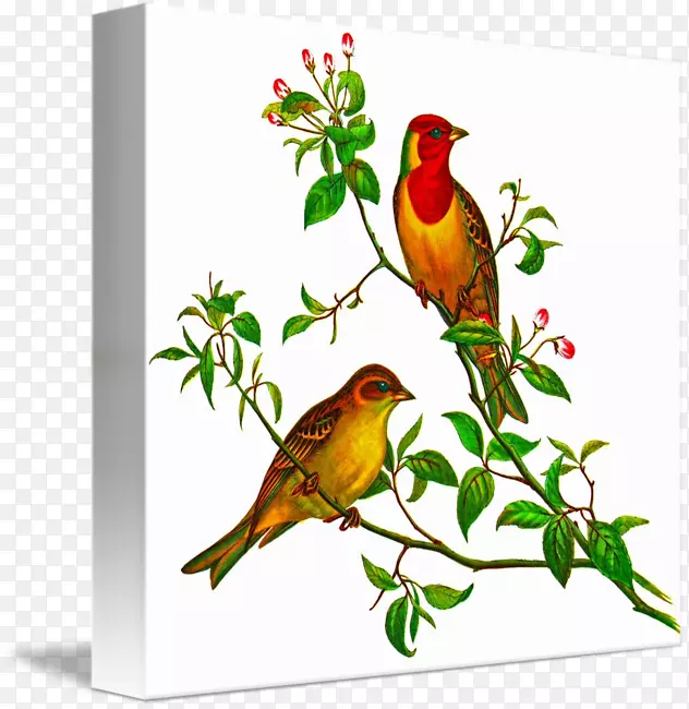 ��̰Ĵ����ǵ���ʮ����ͼ��-ֽ��-������