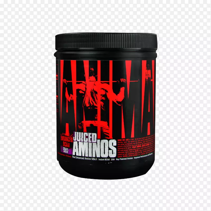 ��ʳ�����.֧����������谱����Ӫ��.���Ӫ���˶�Ӫ��-������