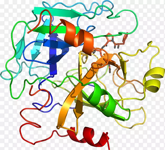 �ߵ������������-������