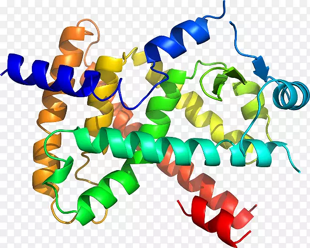 �ߵ������������-������