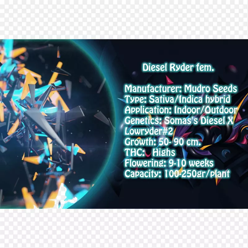 png̨ʽ����ֽ1080 p������Ӹ�����Ƶϥ���͵���-������