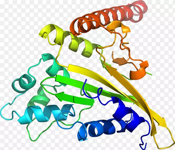 �����߶����������-������