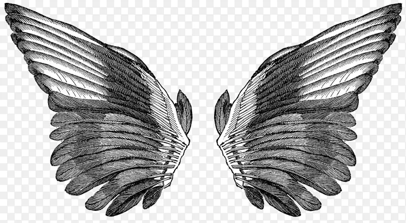 �񻭼�����-��-������