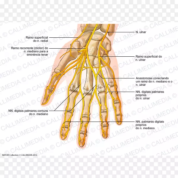 ���������������ϵͳ��-������