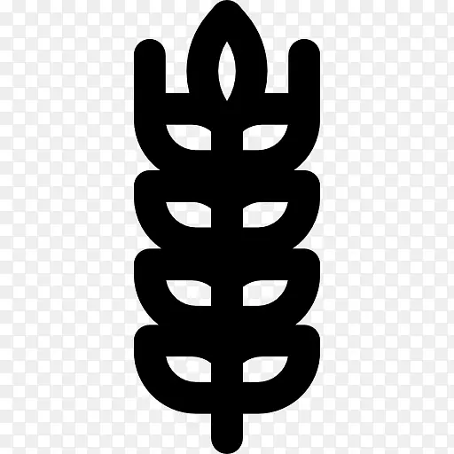 ơ�ƾ����������ͼ��-ơ��-������