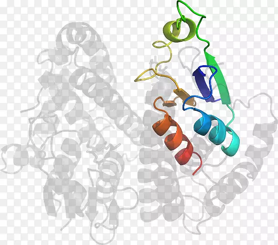 ���������-������