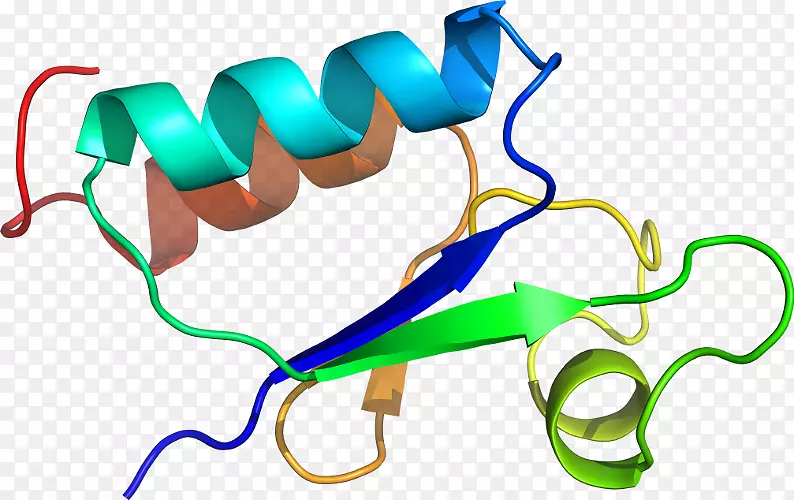 �ߵ������-��-������