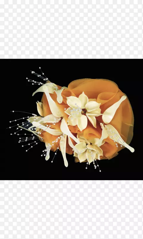 ����ŵ��������л���������-������