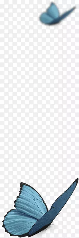 ��Ь-����-����װ��-������