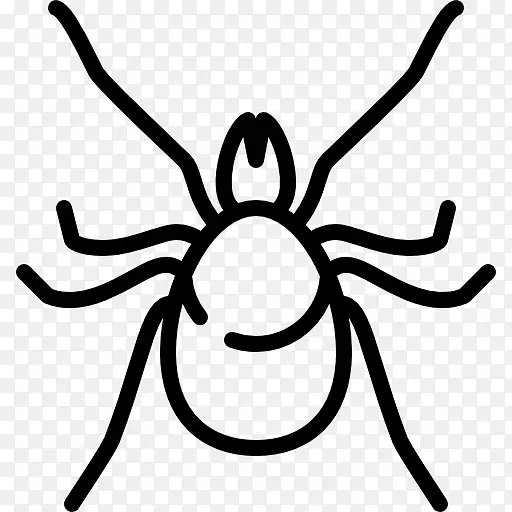 �������ද��-������