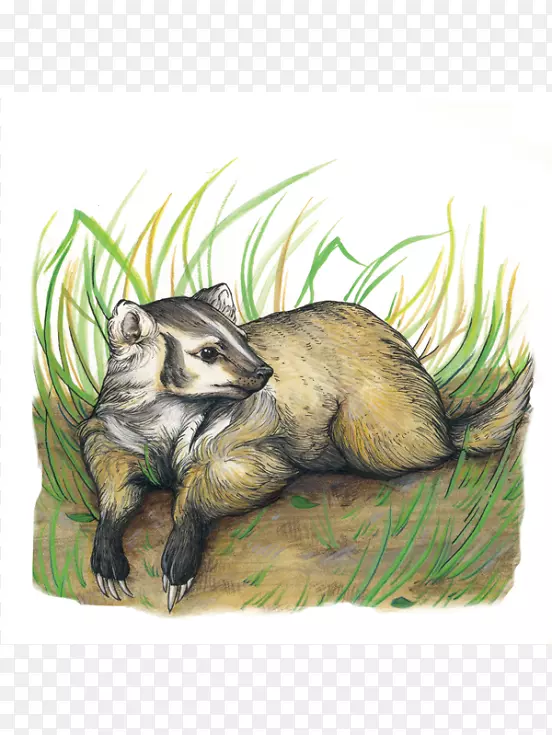 ����ද��д�Ұ������-�ļ����ۺ���-������