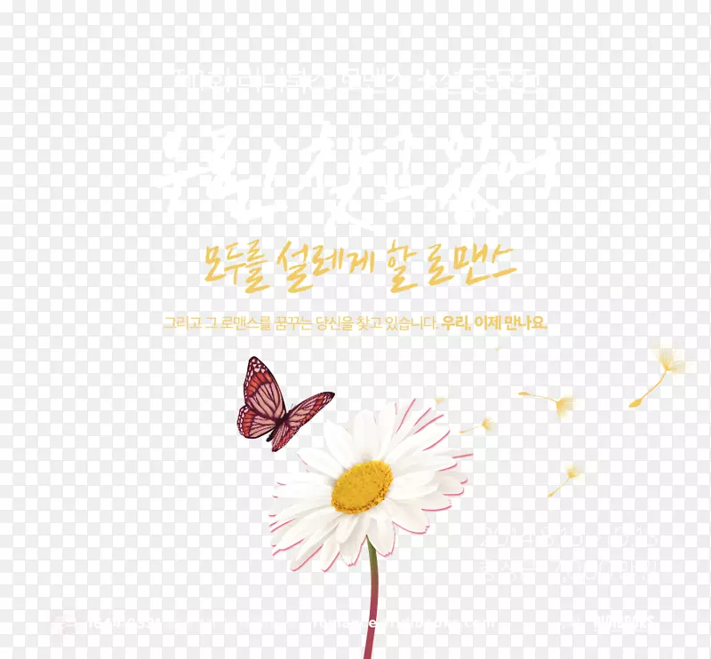 ����ؿ��������ֽ����������.�����ı�-������