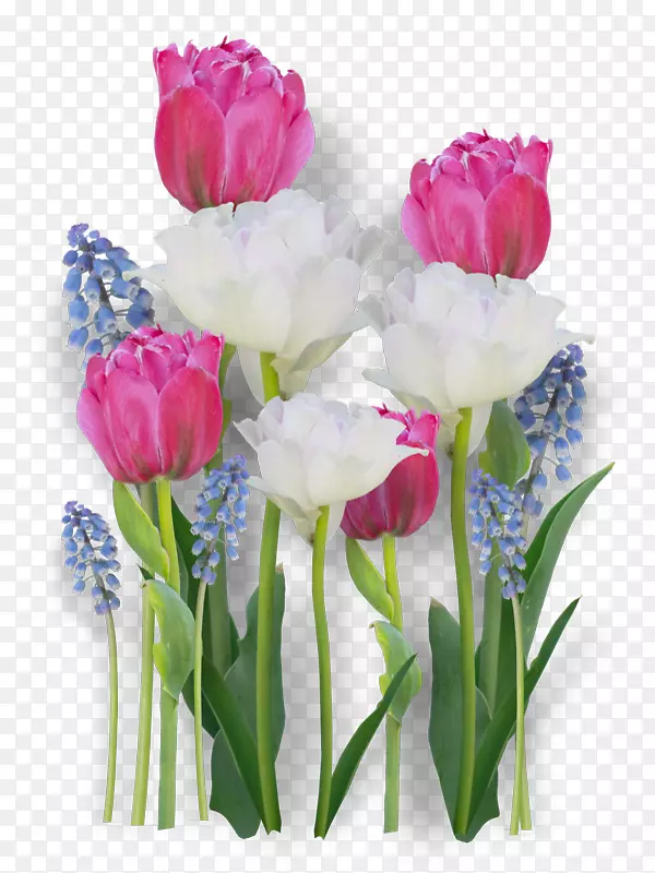 �������л�����������-������