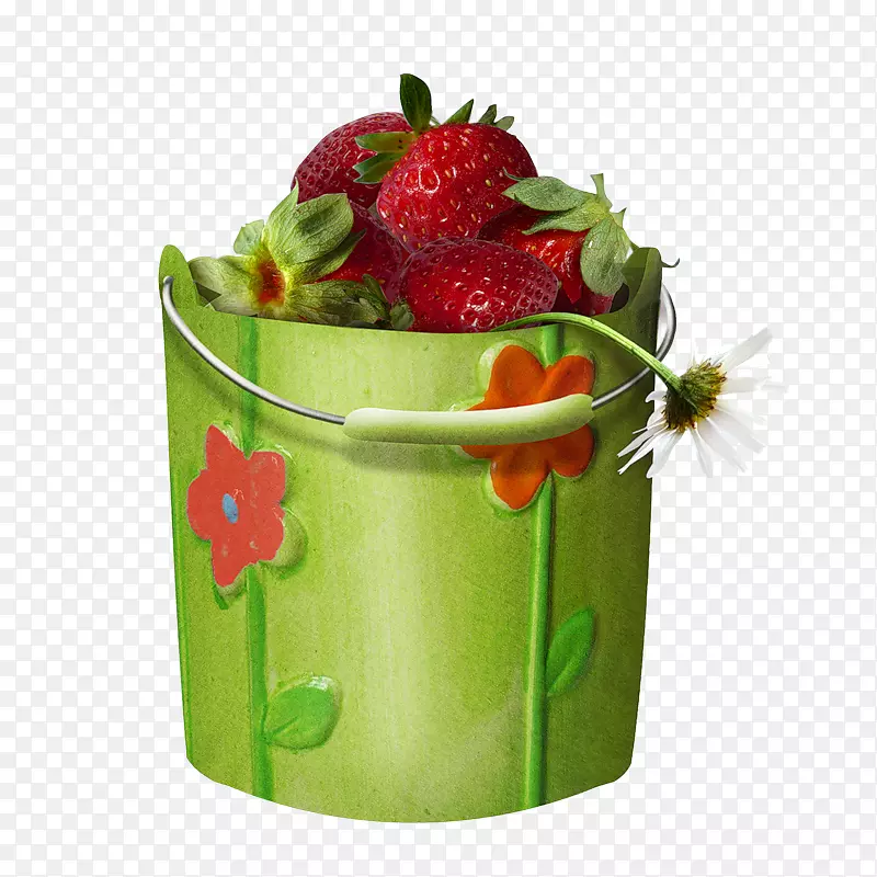 ��ݮ������-��ݮ-������