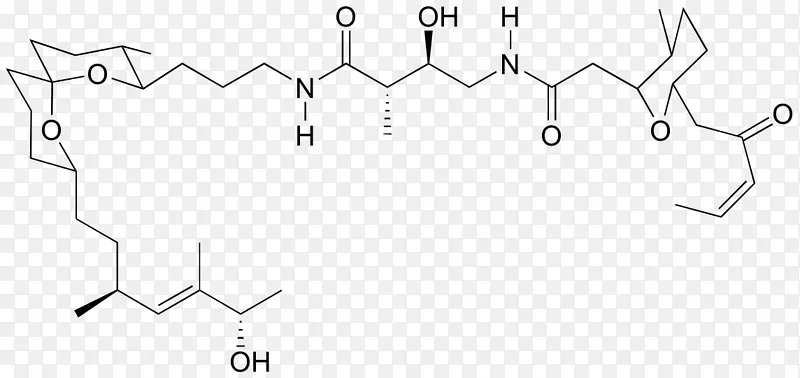 ��ɫ��ͼ�����-������