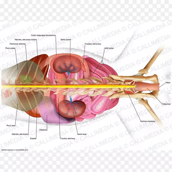 �����-������