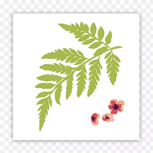 ����ֲ���ʵҶ��ģ��-������