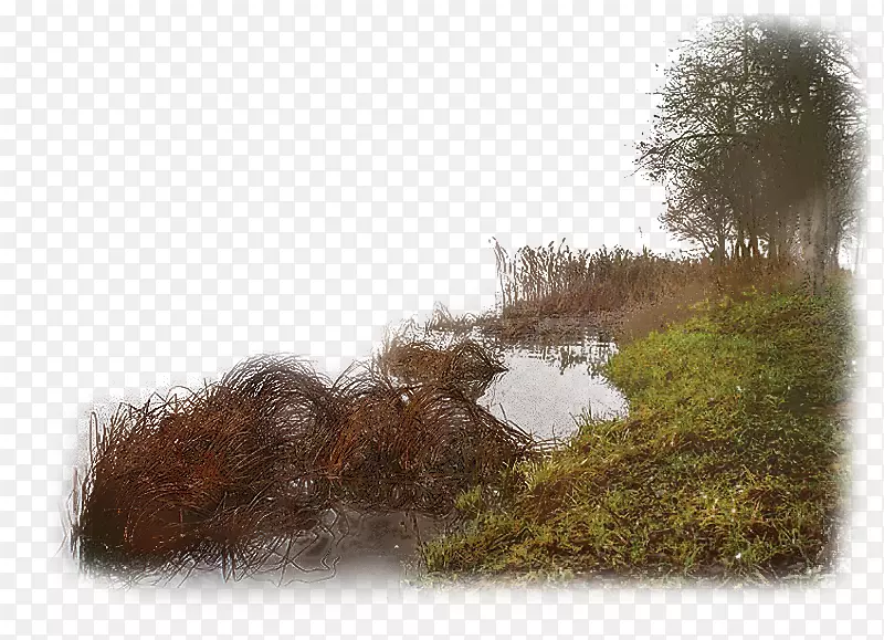 ʪ��ˮ���-������