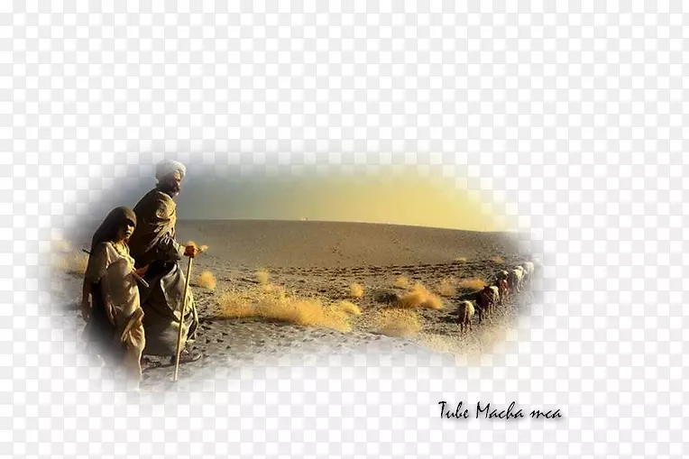 ���������鱦ɳĮ����-������