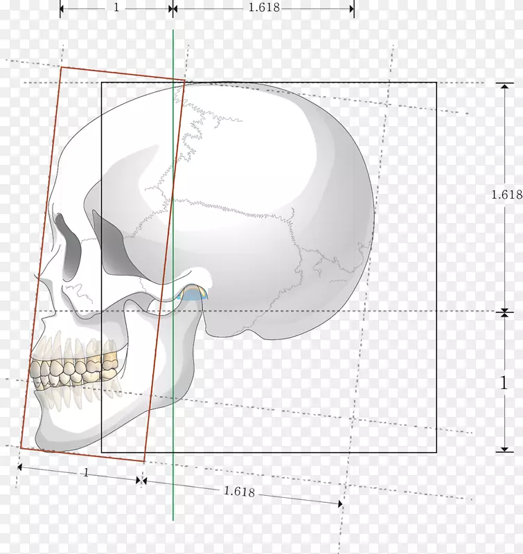 ��ʽ�������-������