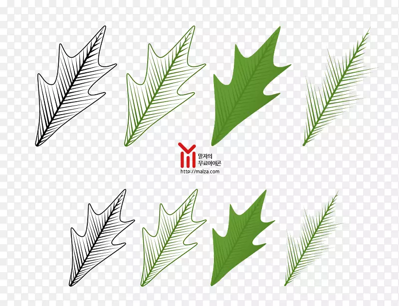 Ҷ��ֲ�ﾥ��-Ҷ-������