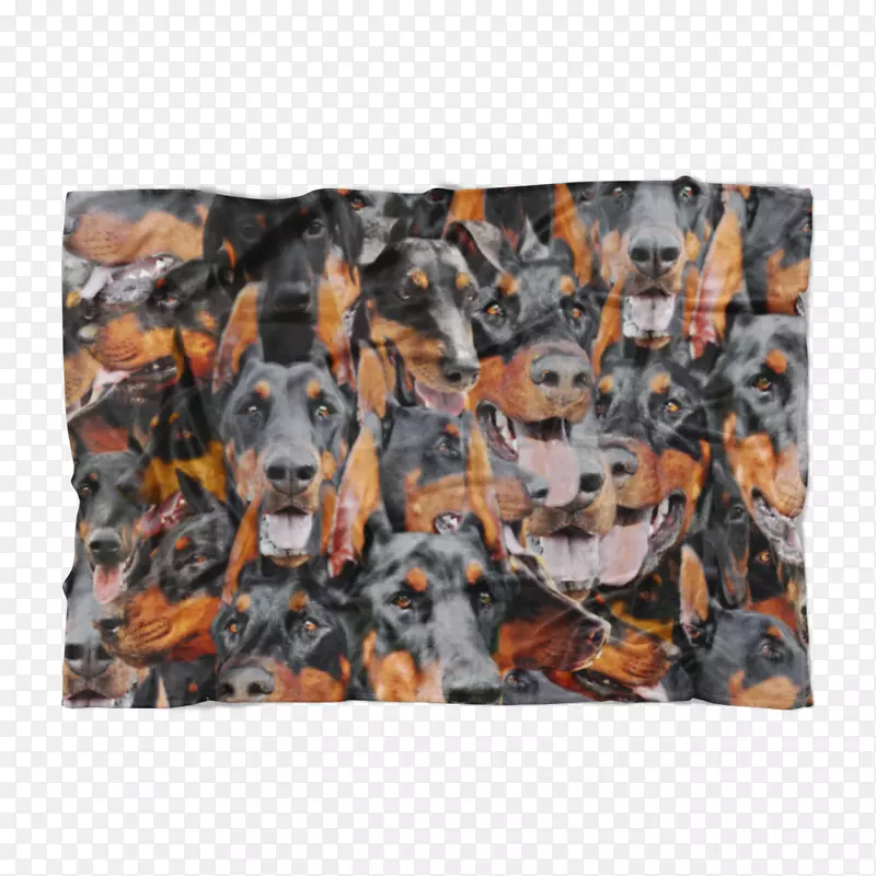 ��֯�ű�-������