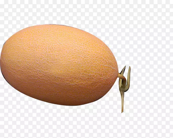 ˮ���ȵ�-��ľ��-������