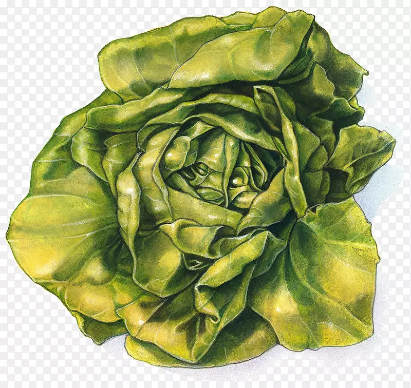 ���������λ�-�߲�-������