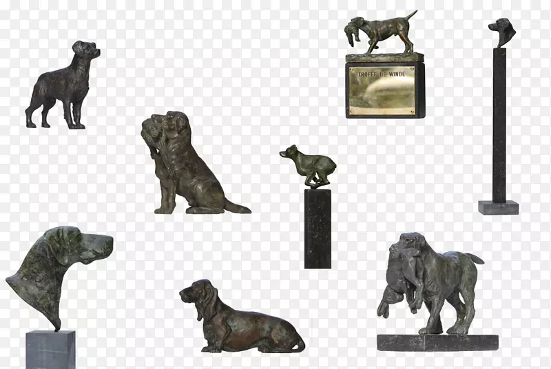 ��è��Ұ�����-��-������