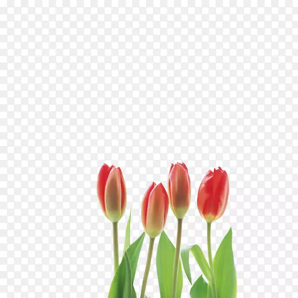 �������л�-������-������