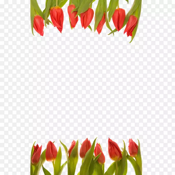 �������л����ͻ���������-������