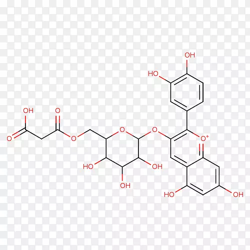 ֱ�ߵ����-������