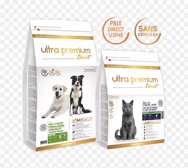 ��������;߰�-��-������