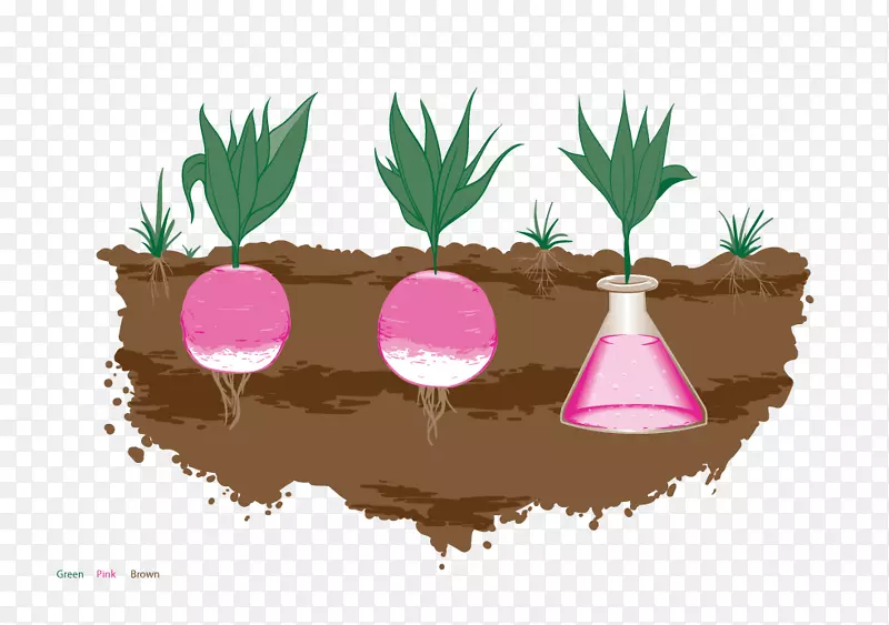 ֲ��-ֲ��-������