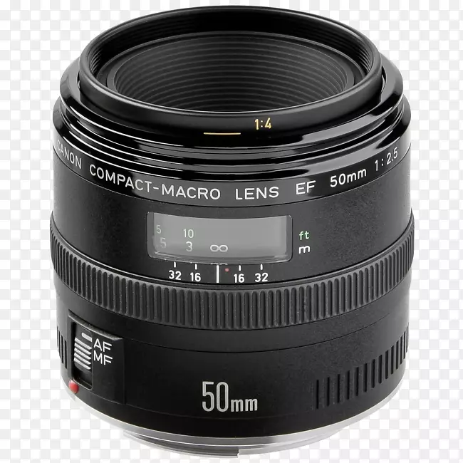 ����ef͸����װ����x-s��ͷ��װ�������ͷ����Ӱ�����ͷ-������