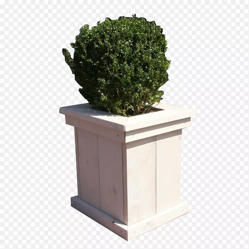 ���Գ�������-������