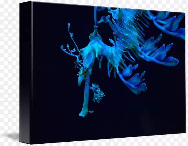 ƽ����������ֽ������л�������-������