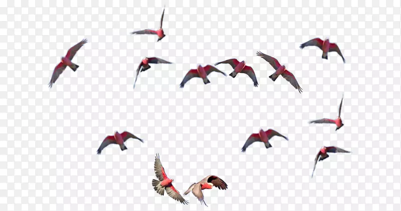 ˮ�����-������