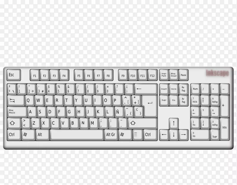 ���Լ������������ʾ����������������-������