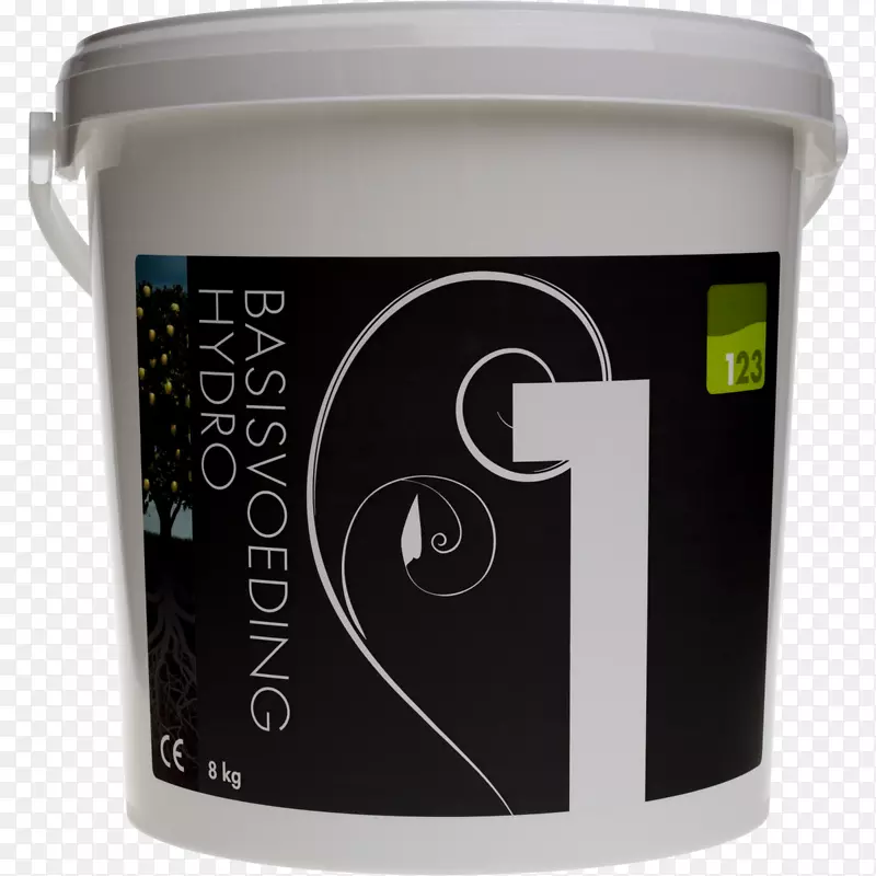 Ůʽ������ʳ����-������