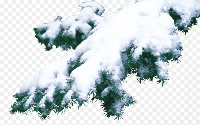 ��ɼ����ɼ��ʥ����-ʥ����-������