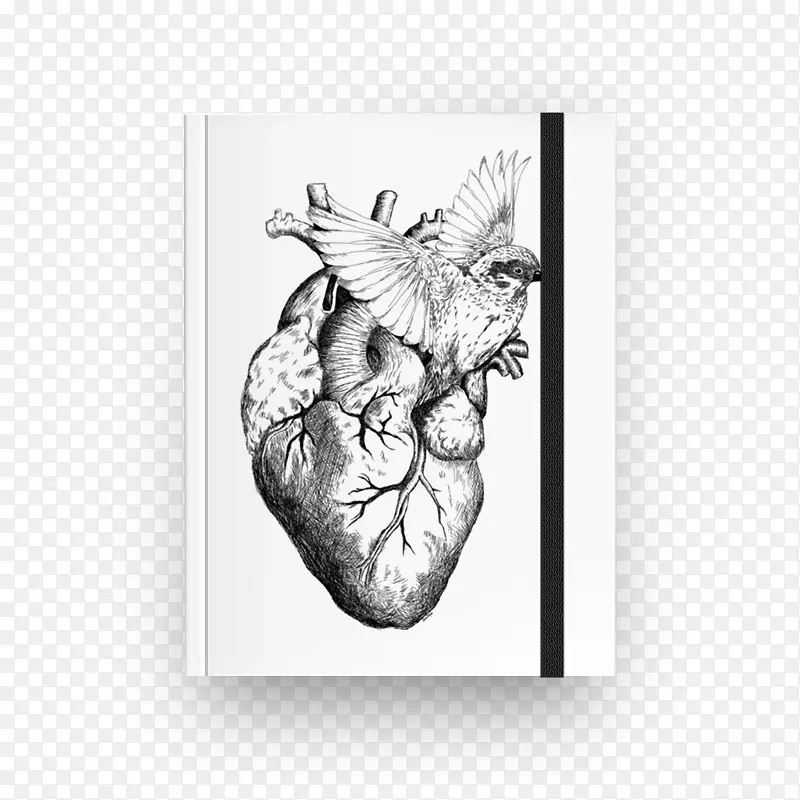 �Ļ�ˮ�ʻ�-��-������