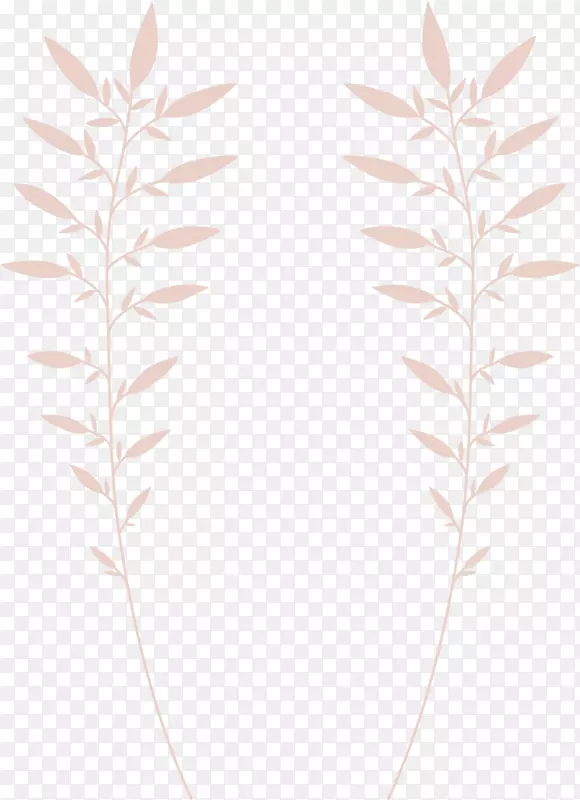 �ۺ�Ҷ-������