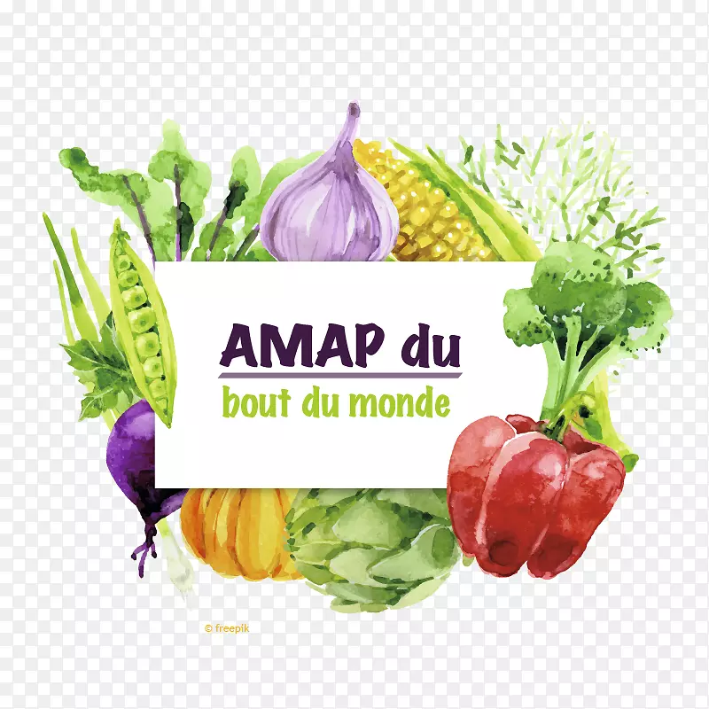 �л�ʳƷ����ʳ��⿡��߲˱���ʳƷ-�߲�-������