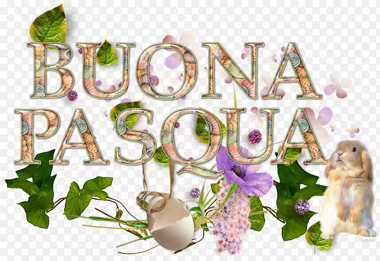 ������Ʋ�ҩ�������-������